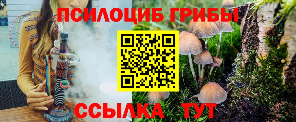 Псилоцибиновые грибы прущие грибы Миллерово