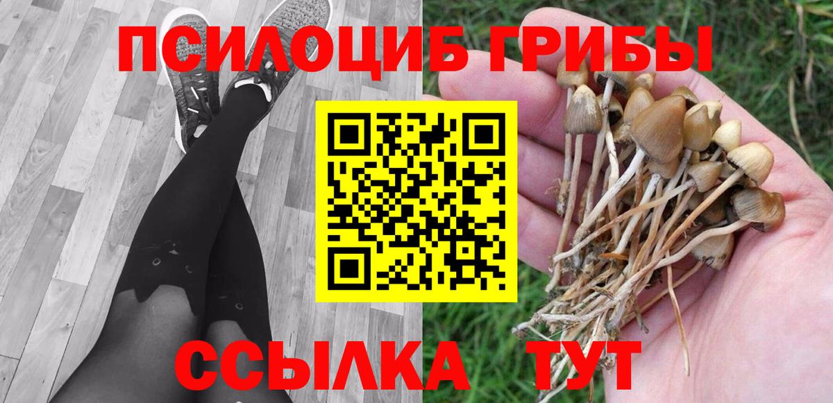 Псилоцибиновые грибы Magic Shrooms  Вход с VPN  Миллерово 