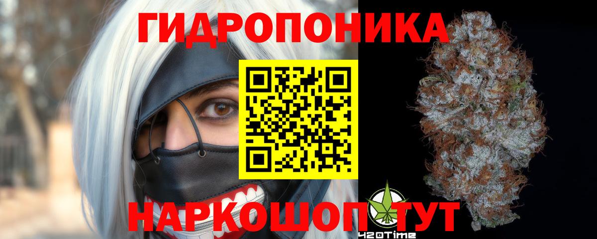 МАРИХУАНА сатива Миллерово